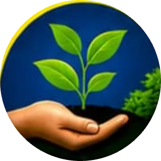 Planting and maintenance